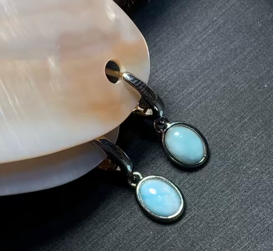 Classic Blue Hoop Earrings for Women
